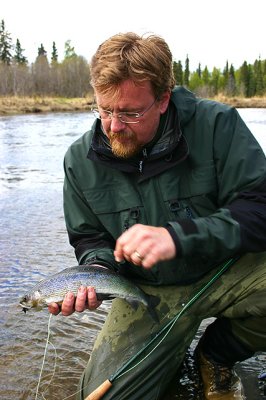 Large Grayling