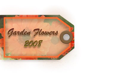 flower_tag.jpg