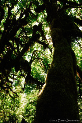 Reaching Upward