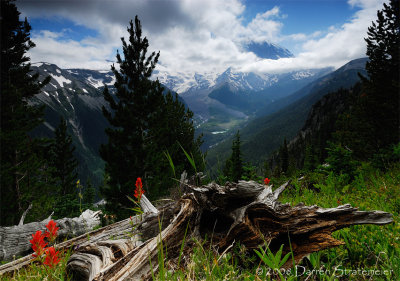 Rainier Hiding