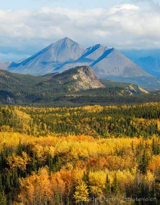 Early Fall in Denali