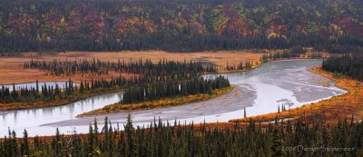 Nenana River View