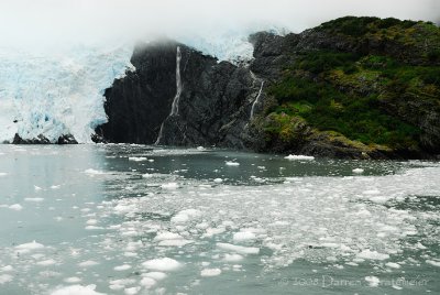 Glacier Ice and Edge of Glacier