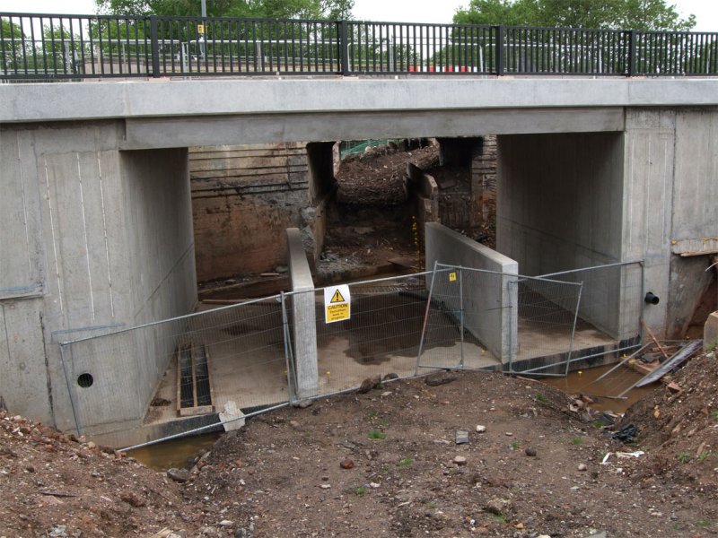 DSCF1354.jpg