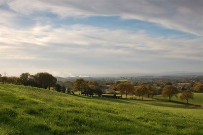 Local-enviroment-AP1.jpg
