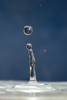 Motion-AP1.jpg