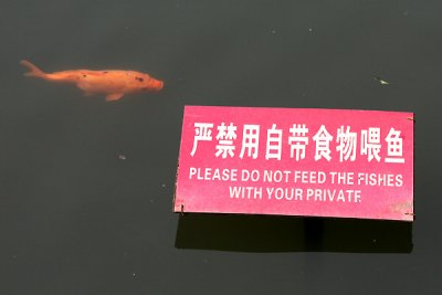 Do not feed the fishes with your private