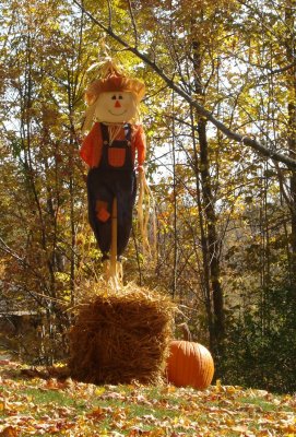 Haloween Season Punderson State Park Ohio