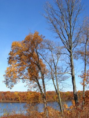 Past Peak Punderson State Park.jpg