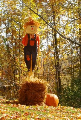 Scarecrow  Punderson State Park.jpg