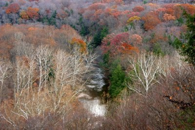 Tinker's Creek  -  Remnants of Fall