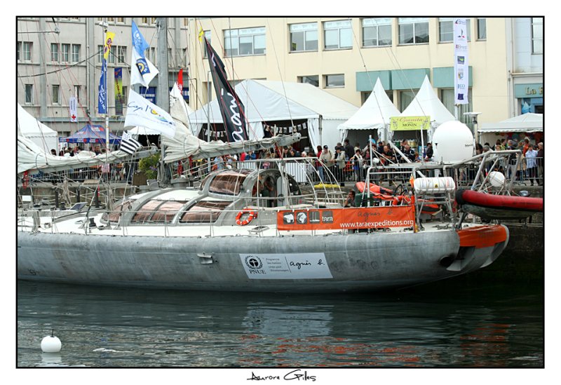 Le Tara, ex Antartica