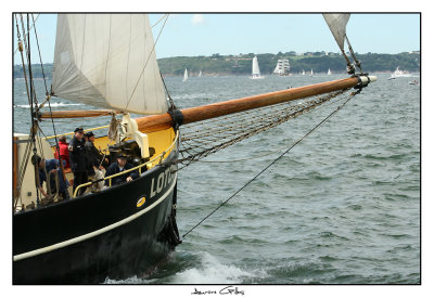 g5/93/799593/3/100653167.l8eDIKca.jpg