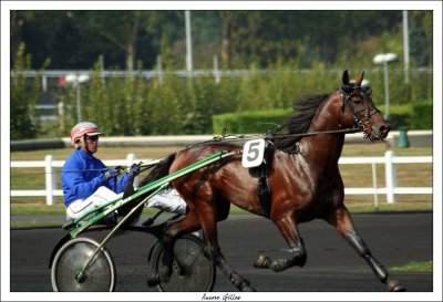 Hippodrome de Vincennes