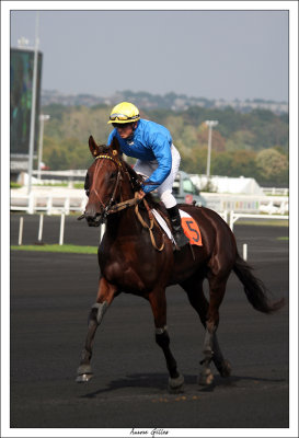 Hippodrome de Vincennes