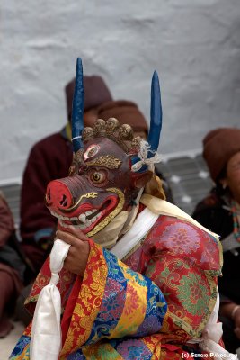 Sani - Naro Nasial Festival