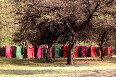 Lake Natron Tented Lodge