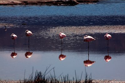 Ngorongoro Park