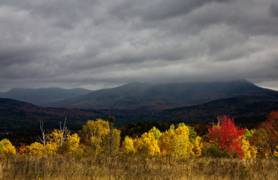 New Hampshire Vista.jpg