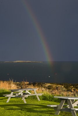 HarrietFeagin-Rainbow 2.jpg