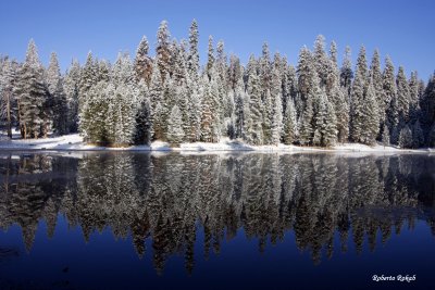 Sequoia National Park - USA