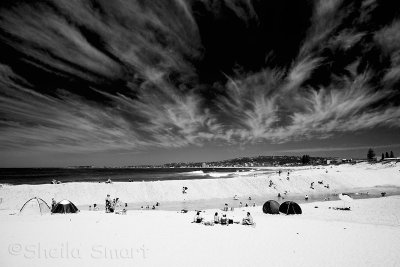 Narrabeen beach in black and white