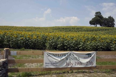 Buttonwood Farm