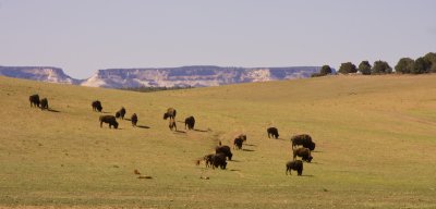 Bryce Canyon National Park