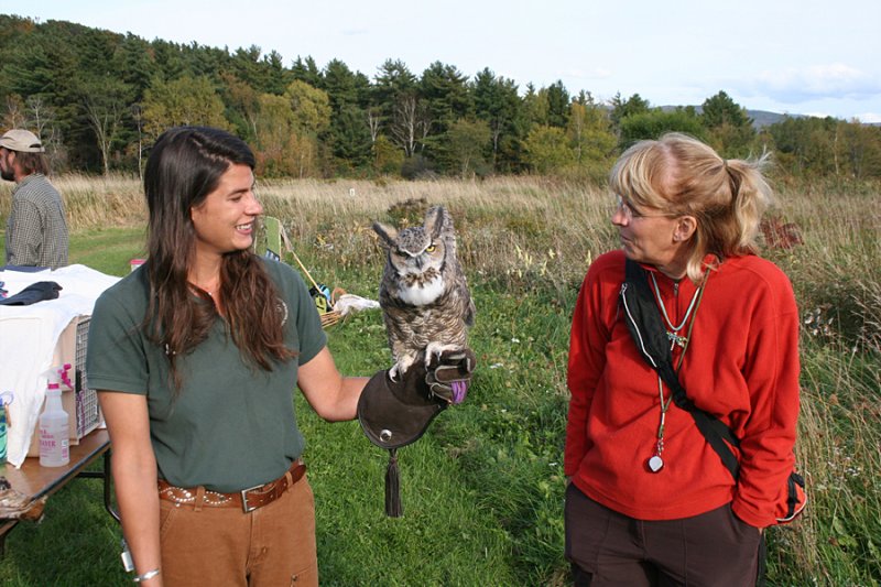 Great Horned hooting