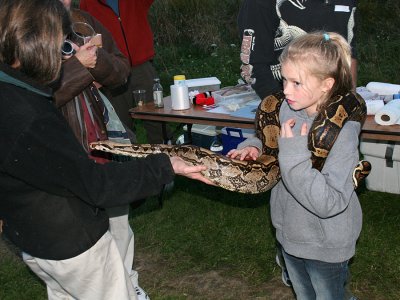 And finally, another little girl with the big Boa