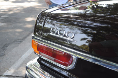 DSC_0695.jpg