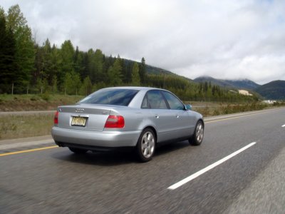 DSC08762.jpg