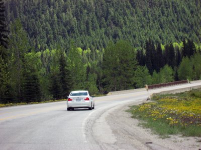 IMG_3849.jpg
