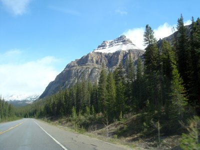 DSC09252.jpg