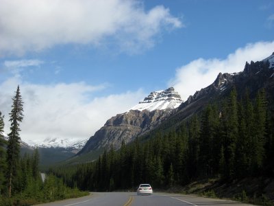 IMG_3963.jpg
