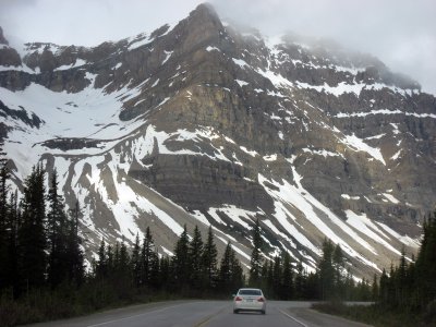 IMG_3971.jpg