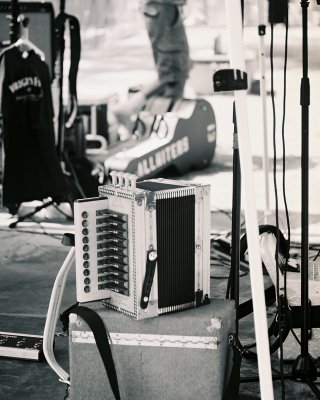 Accordion In View