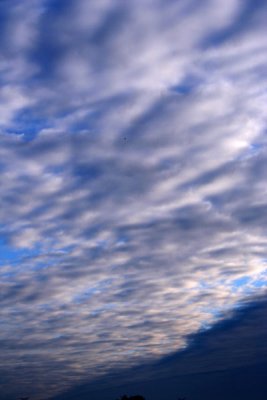 IMG_3509