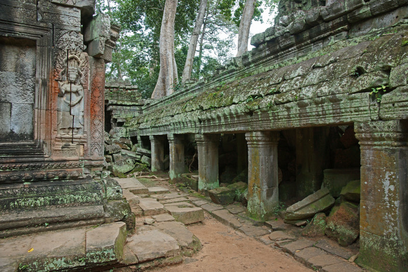 Banyans and Walls Ta Prohn Temples.jpg