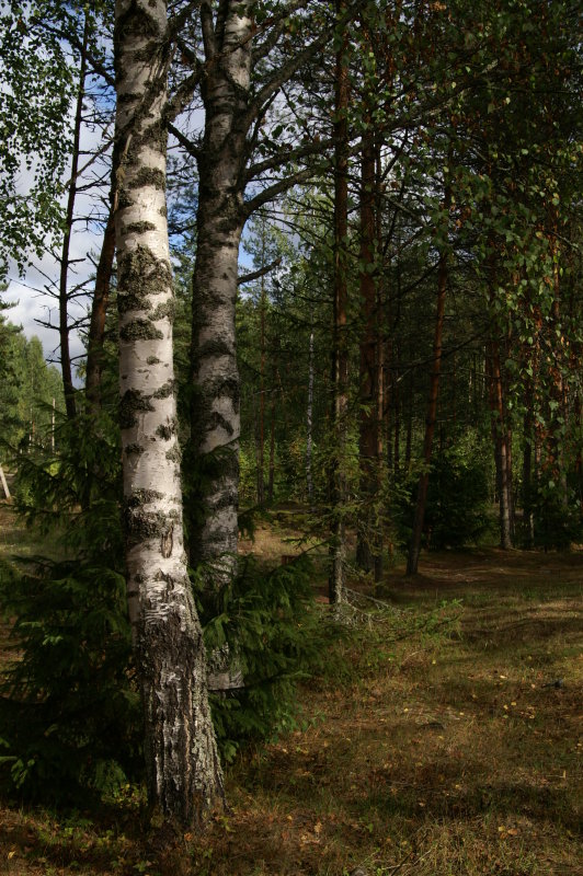 PICT0076.JPG