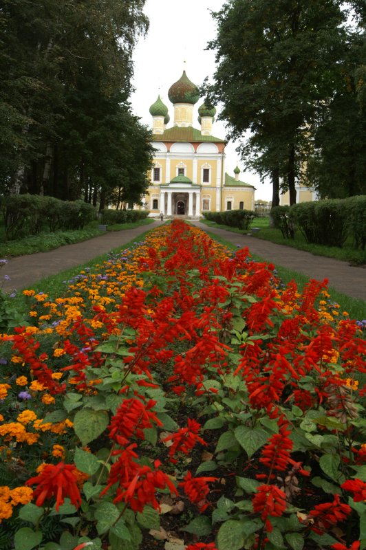 PICT0296.JPG