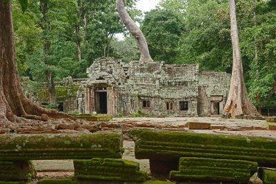 Ta Prohn Temples Angkor.jpg