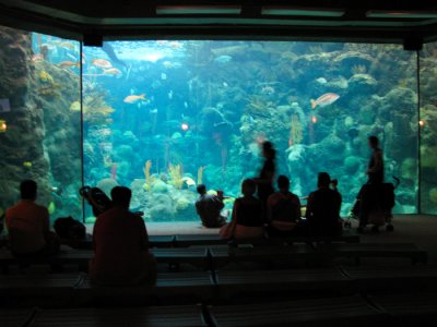 The Florida Aquarium