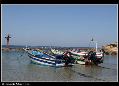 PC-IMG_6178.JPG