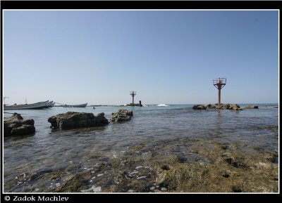 PC-IMG_6185.JPG