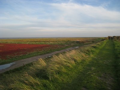 Posthuiswad, Vlieland, Netherlands