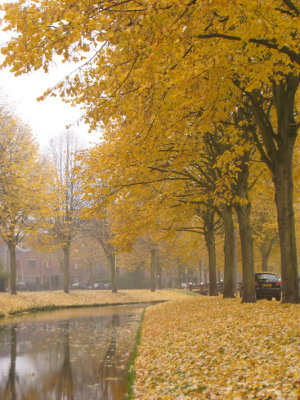 fall colors