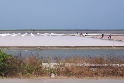 Salt farming near Laem Pak Bia