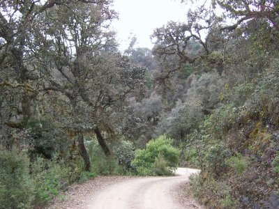 Cerro San Felipe (La Cumbre), Oaxaca