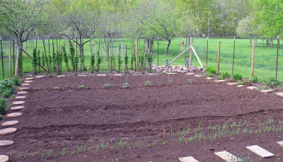 Spring '08 garden